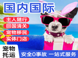 大连周水子航空货运国际宠物托运 【国